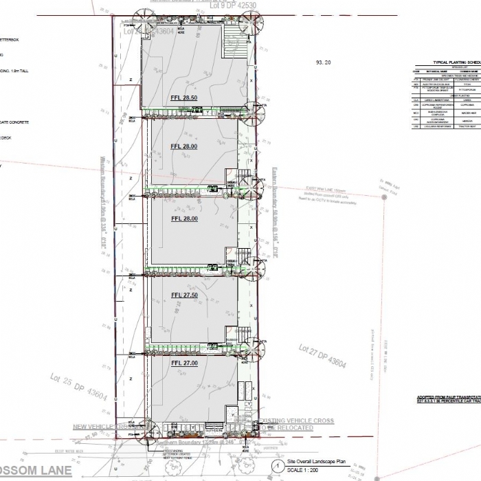 Blossom Lane development 1